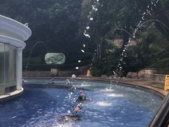 -深圳东部华侨城茵特拉根酒店