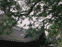 -豫园