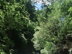-北京上方山国家森林公园
