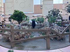 -日本环球影城