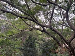 -草庵摩尼教遗址公园