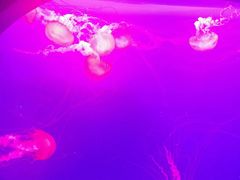 -多彩贵州城极地海洋世界