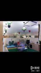 -JR Dance Space舞蹈·空中瑜伽