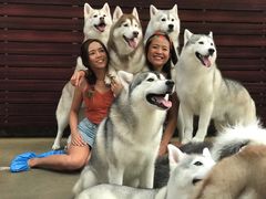 -TrueLove @ Neverland (Husky Cafe)