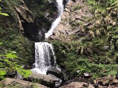 -石台牯牛降景区