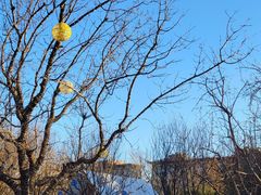 -春晖园度假酒店温泉