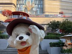 -石家庄万象城