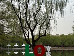 -青城公园