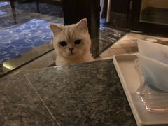 -春晖园度假酒店温泉