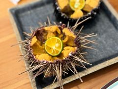 -海胆小馆(东北水饺·春柳店)