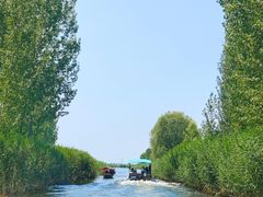 -白洋淀风景区