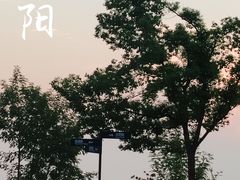 -放鹰台遗址
