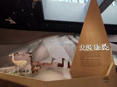 -长江文明馆