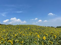 -苏州湾体育公园