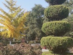-宝鸡植物园