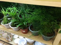 iphone_upload_pic-大润发(浒关店)