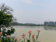 -鹤之洲湿地公园