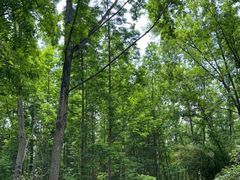 -桤木河湿地公园