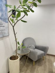-薇薇安花系SPA