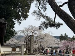 -醍醐寺