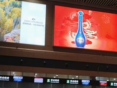-哈尔滨太平国际机场-T2航站楼