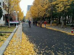 -山东农业大学(岱宗校区)