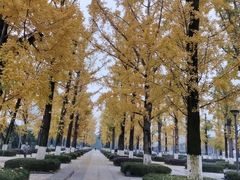 -两江幸福广场