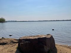 -丁香湖公园