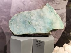 -正佳自然科学博物馆