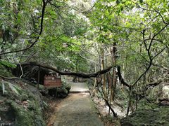 -七仙岭温泉国家森林公园