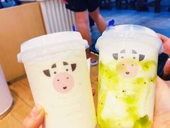 -一只酸奶牛(八一路店)