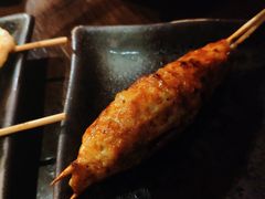 鸡肉丸子-串鑫