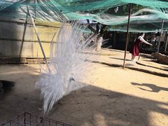 -武汉紫薇都市田园