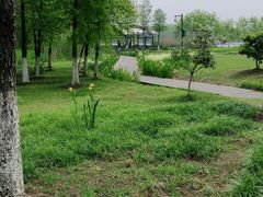 -长广溪湿地公园