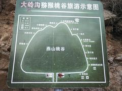 -大岭沟猕猴桃谷风景区