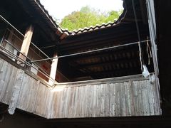 -雁南飞茶田景区
