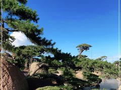 -罗红摄影艺术馆