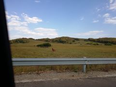 -塞罕坝国家级自然保护区