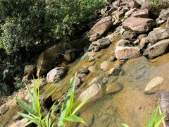 -广州白江湖森林公园