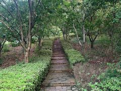 -天目湖涵田度假村