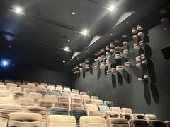 -武商摩尔影城(国广IMAX激光店)