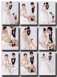 -花漾摄影优选工作室(东莞原创作品店)