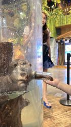 -Zoolung Zoolung动物主题公园(海信广场店)