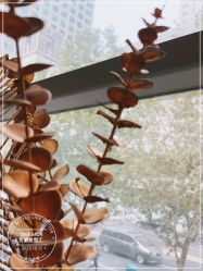 -变画·发型STUDIO