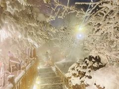 -汉拿山温泉度假酒店