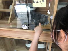 -平吉花卉市场