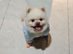 -映日农场无花果鸡(滨江东路店)