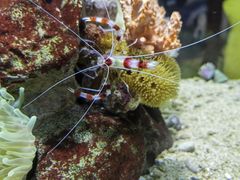 -太平洋海底世界