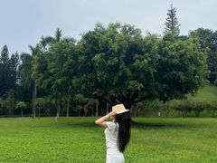-三水森林公园