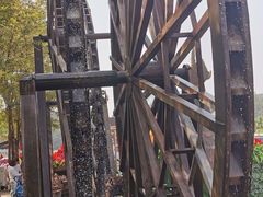 -呀路古热带植物园